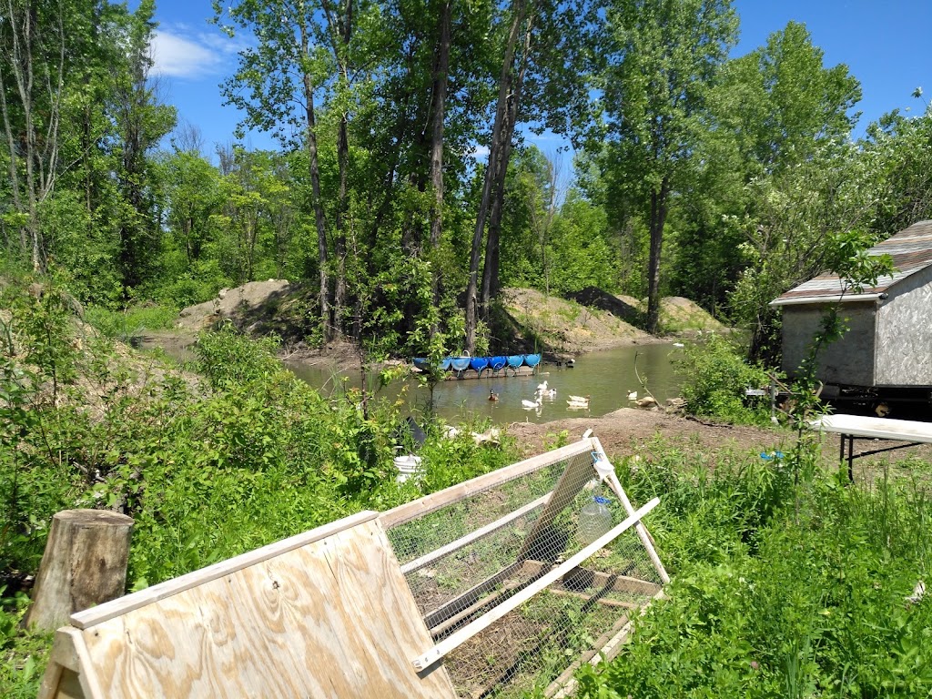 Ferme Bord-du-Lac | 1530 Chem. du Bord-du-Lac, LÎle-Bizard—Sainte-Geneviève, QC H9E 1K3, Canada | Phone: (514) 675-1236