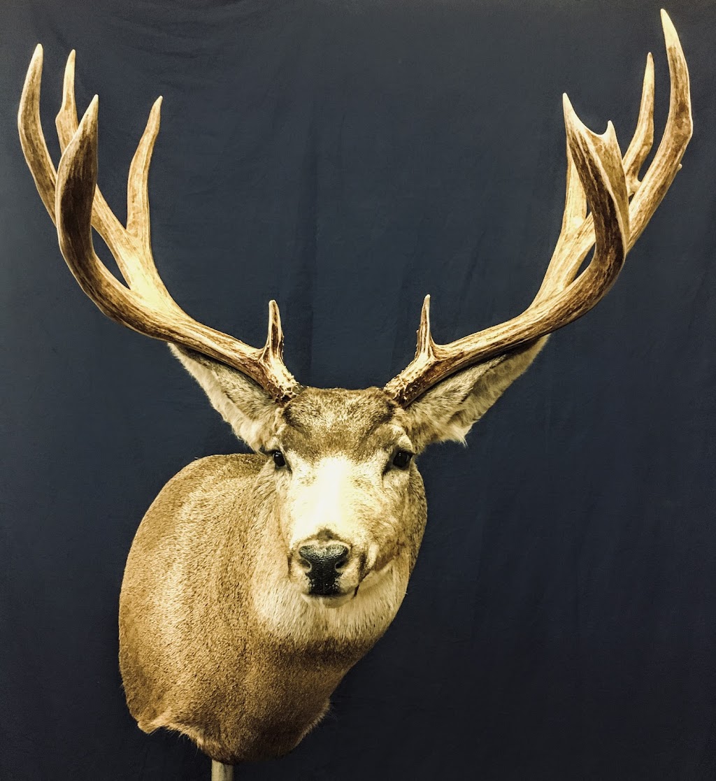 Extreme Taxidermy | 10379 109 Ave, Westlock, AB T7P 1G8, Canada | Phone: (780) 349-5412