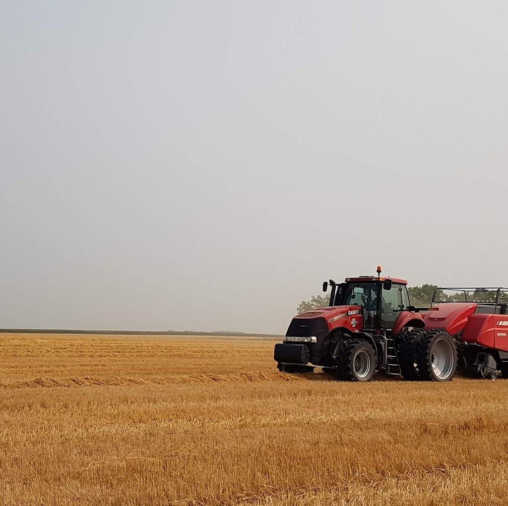 Red River Forage Hay and Straw | 28038 MB-246, Aubigny, MB R0G 0C0, Canada | Phone: (204) 712-6509