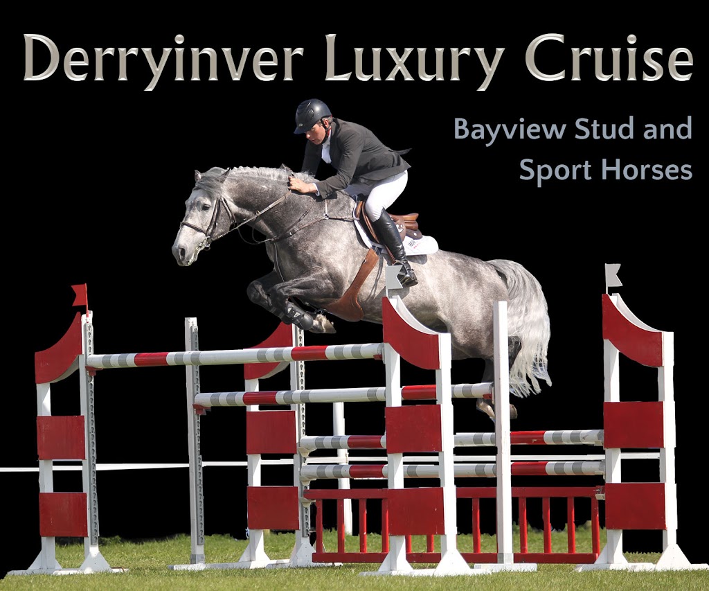 Bayview Stud and Sport Horses | Ranch Rd, Bobcaygeon, ON K0M 1A0, Canada | Phone: (705) 341-7907