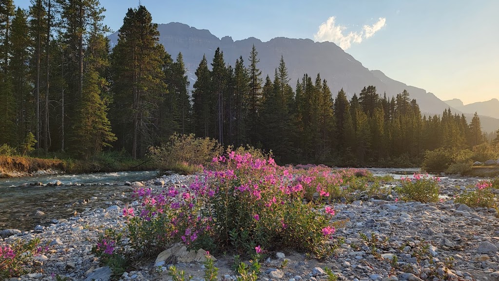 HI Mosquito Creek Wilderness Hostel | Highway 93 N, Banff, AB T1L 1B3, Canada | Phone: (866) 762-4122