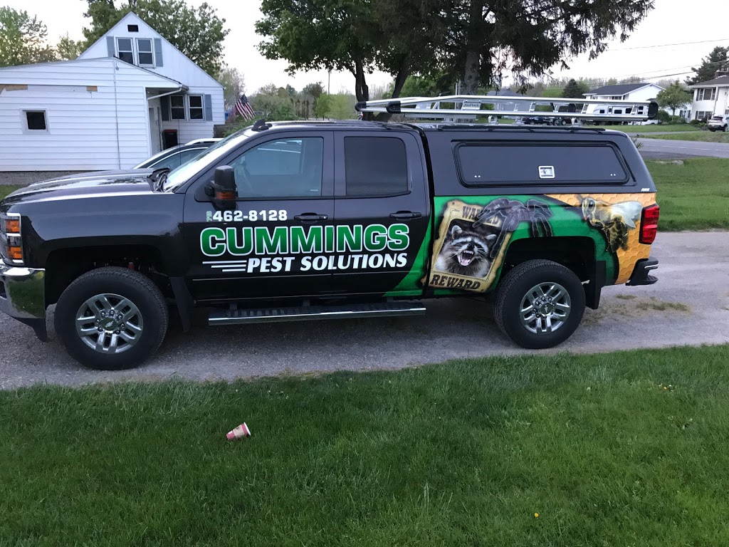 Cummings Pest Solutions | 5072 Gasport Rd, Gasport, NY 14067, USA | Phone: (716) 462-8128