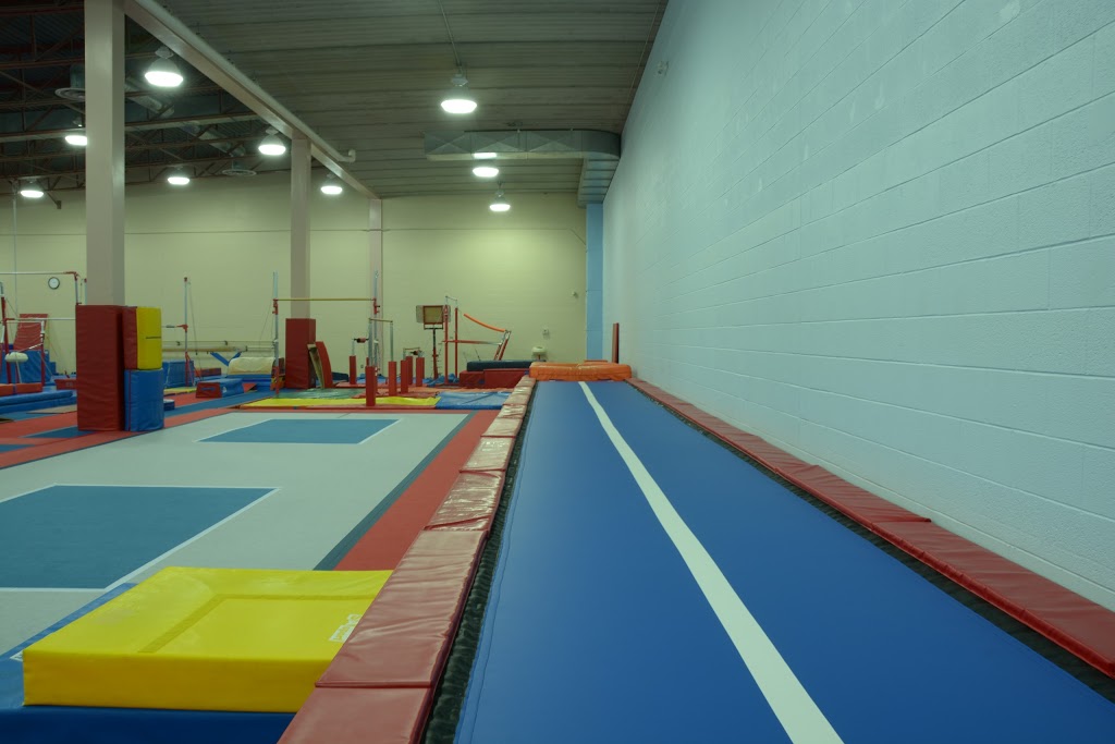 Guelph Saultos Gymnastics | 377 College Ave W, Guelph, ON N1G 4T4, Canada | Phone: (519) 837-3335