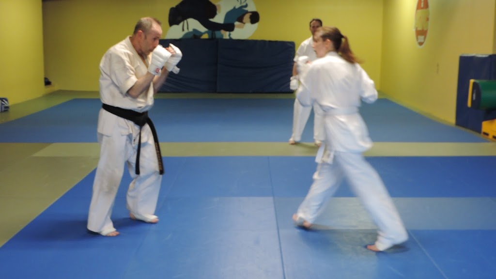 Halifax World Kanreikai Karate | Spirit Martial Arts, 225 Cobequid Rd, Lower Sackville, NS B4C 3J7, Canada | Phone: (902) 456-9160
