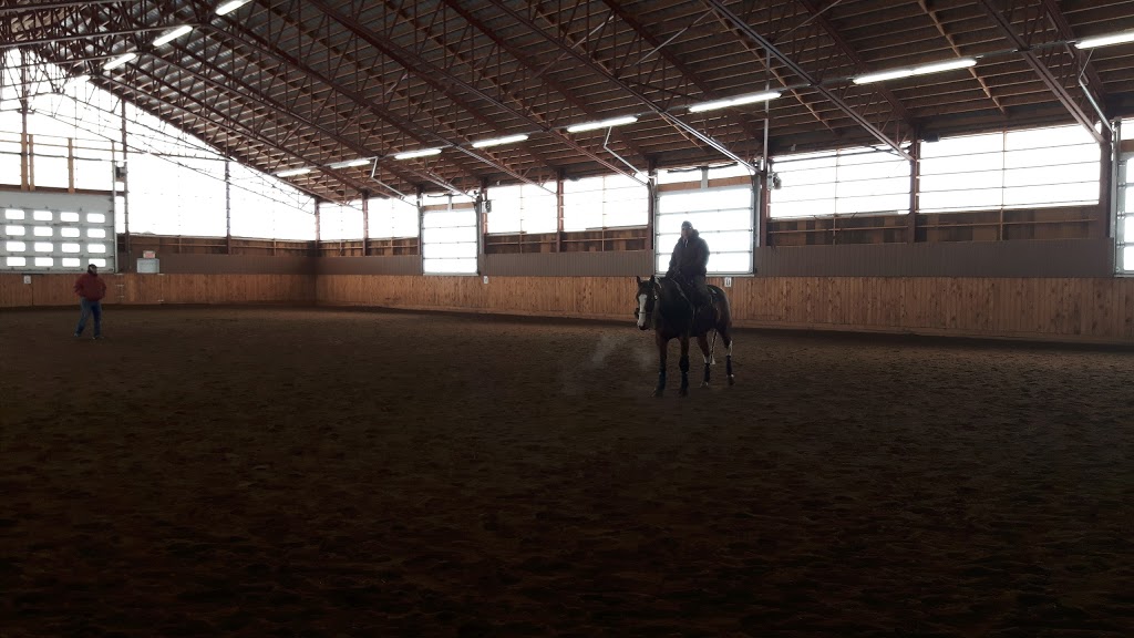 Equestrian Center Céraville | 8374 Rue Alexandre, Trois-Rivières, QC G9B 2J8, Canada | Phone: (819) 377-7744