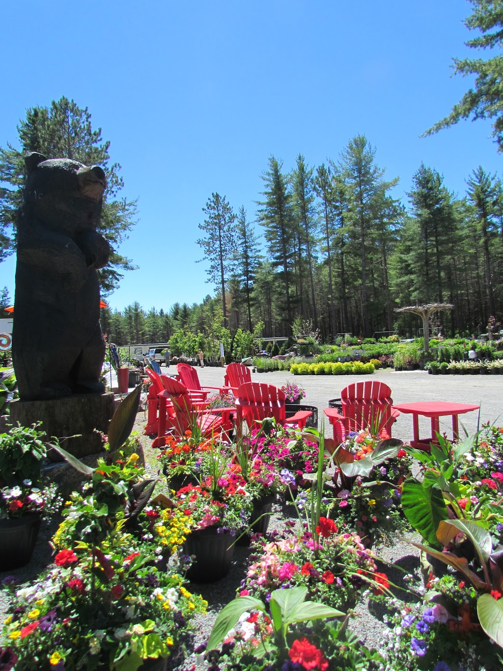 Lake of Bays Garden Centre | 2876 Hwy. #60, Dwight, ON P0A 1H0, Canada | Phone: (705) 635-1696