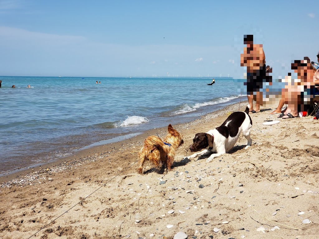 Pinery Dog Beach/Day Use Area 2 | 26 Sideroad, Grand Bend, ON N0M 1T0, Canada