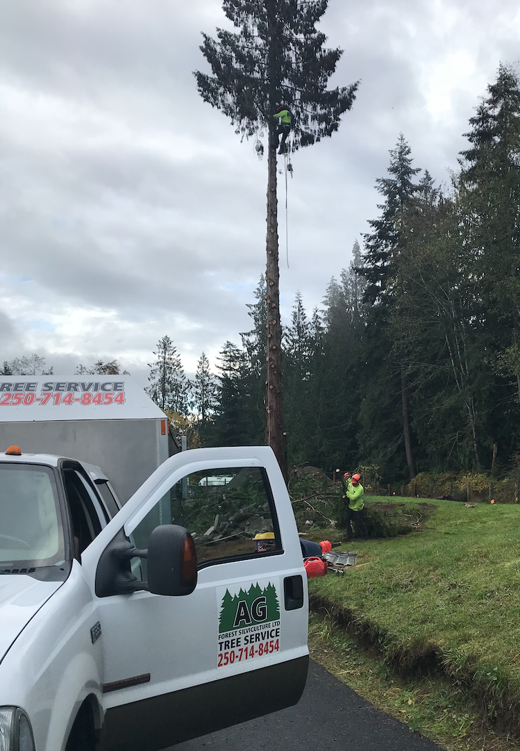 AG Tree Service | 775 Barclay Crescent, Parksville, BC V9P 1Z3, Canada | Phone: (250) 714-8454