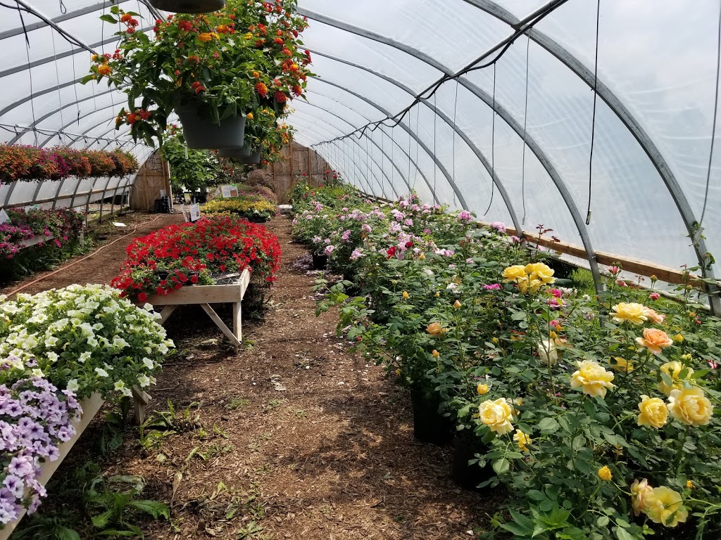 Davishill Nursery | 1258 Highway RR#2 #4, Walkerton, ON N0G 2V0, Canada | Phone: (519) 507-5050