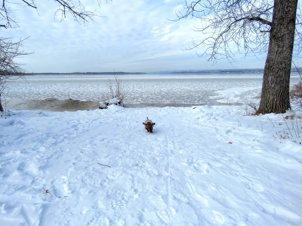 Lac Deschênes Sailing Club | 10 Rangeview Ave, Nepean, ON K2K 2Z2, Canada | Phone: (613) 828-4697