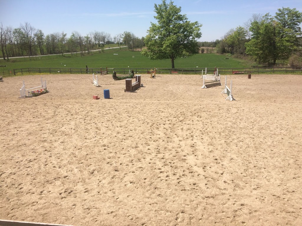 Kings Meadow Equestrian Centre | Middletown Rd, Hamilton, ON N0B 2J0, Canada | Phone: (905) 520-9040