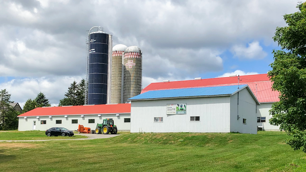 Ferme Ancestrale LaRue INC | 318 Rue des Erables, Neuville, QC G0A 2R0, Canada | Phone: (418) 876-3039