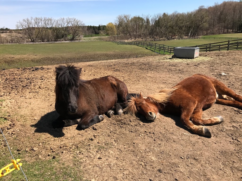 Wolfstone Farm | 15876 Mt Wolfe Rd, Bolton, ON L7E 3N8, Canada | Phone: (905) 880-7635