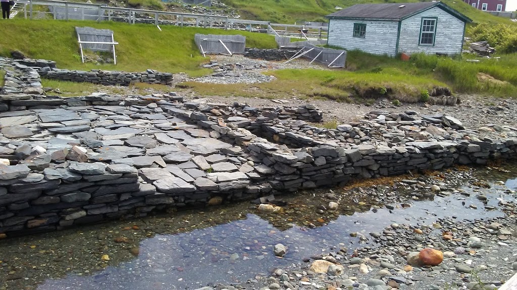 Colony of Avalon Foundation | 1 The Pool, Ferryland, NL A0A 2H0, Canada | Phone: (709) 432-3200