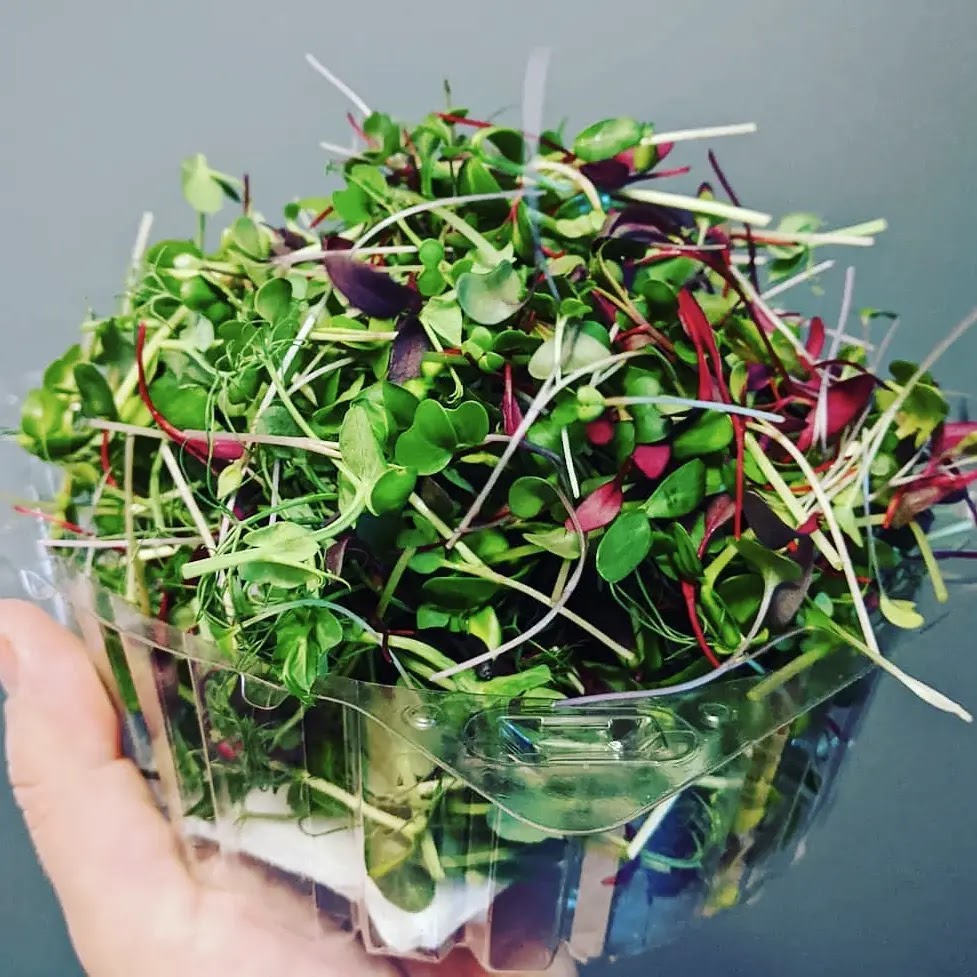 New Life Farm Microgreens & Edible Flowers | 23 Lundolder Dr, Chatsworth, ON N0H 1G0, Canada | Phone: (519) 270-3418