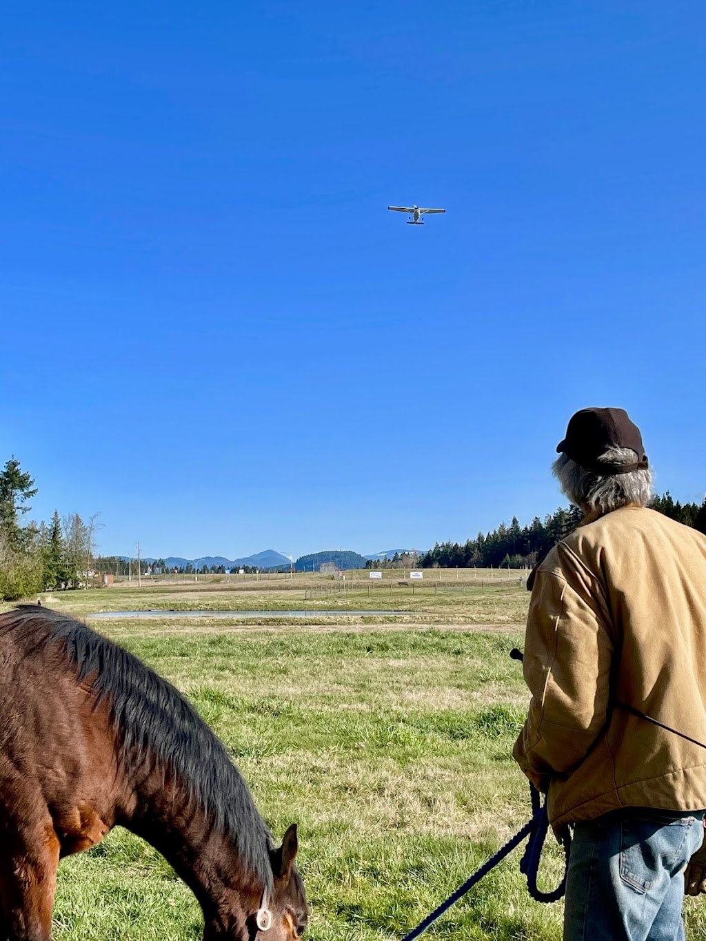 Singing Tree Farm | 750 Bennett Rd, Qualicum Beach, BC V9K 1N1, Canada | Phone: (250) 954-9374