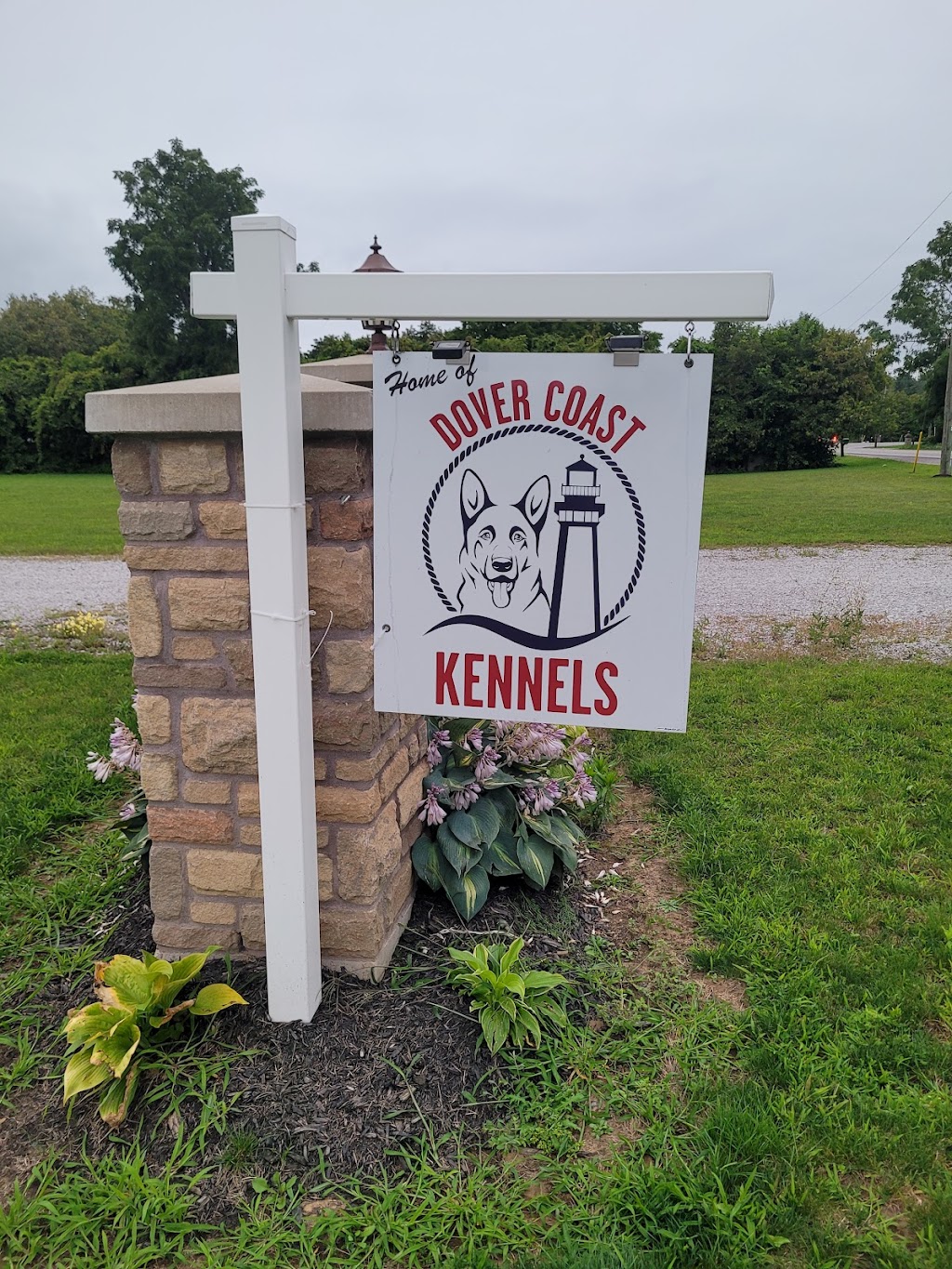 Dover Coast Kennels | 20 St Johns Rd E, Simcoe, ON N3Y 4K2, Canada | Phone: (519) 761-9734