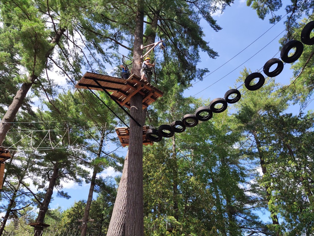 Muskoka Zip Lines & Aerial Park | 1624 Golden Beach Rd, Bracebridge, ON P1L 1W8, Canada | Phone: (705) 645-2512