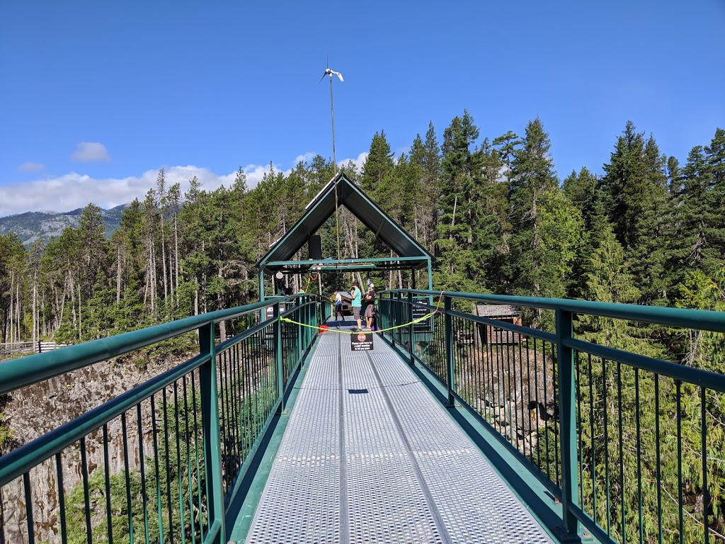 Whistler Bungee Bridge | Calcheak Forest Service Rd, Whistler, BC V0N 1B1, Canada | Phone: (877) 938-9333