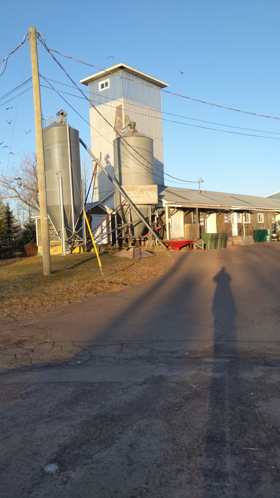 Oleary feed mill | OLeary, PE C0B 1V0, Canada | Phone: (902) 859-2772