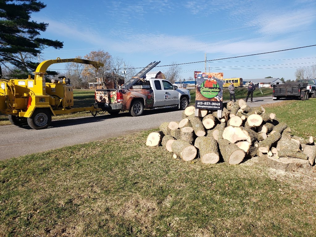 Gillespies Tree Service | 800 Trenton Frankford Rd, Trenton, ON K8V 5P6, Canada | Phone: (613) 827-3045