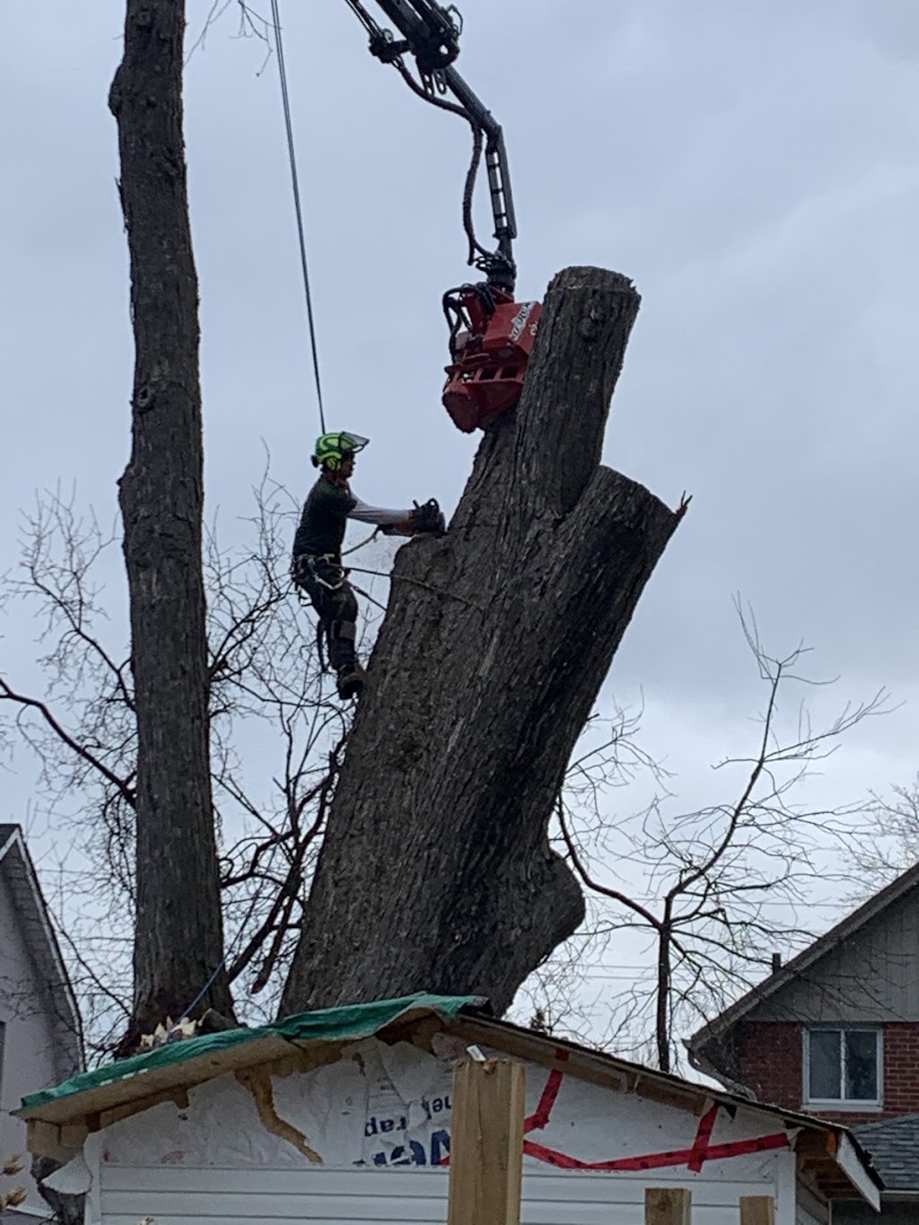 Active Tree Care | 000 Nash Rd, Courtice, ON L1E 2J9, Canada | Phone: (289) 356-1466