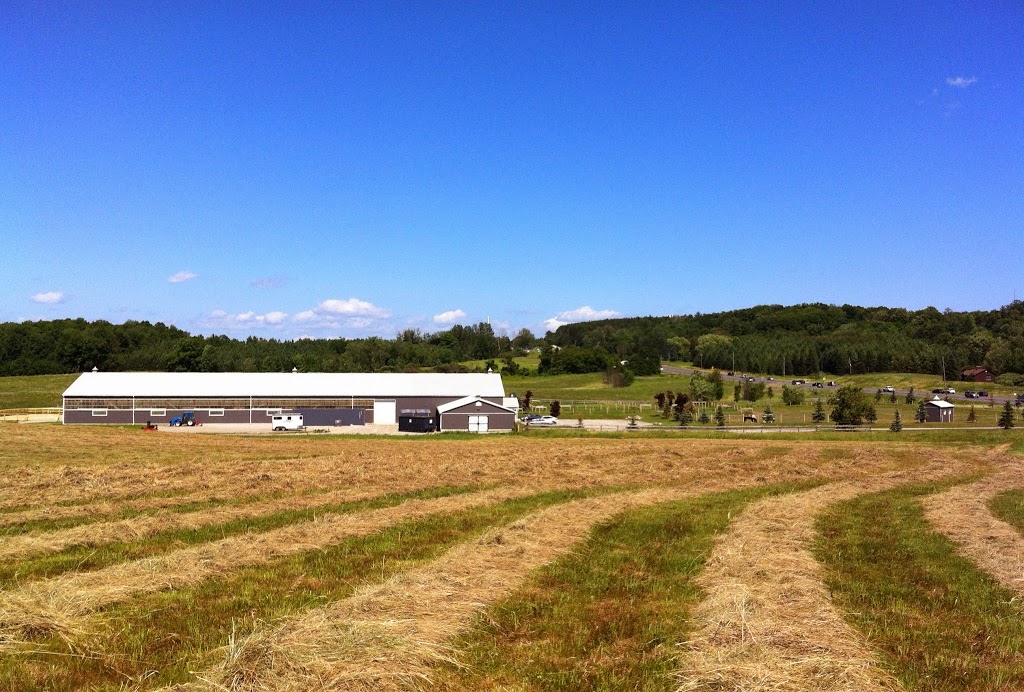 Grass Stable | 2000 Davis Dr W, Newmarket, ON L3Y 4V9, Canada | Phone: (905) 898-5757