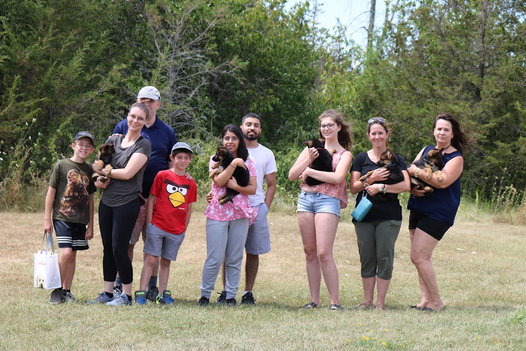 Shiphra German Shepherds | 1383 County Rd 1 W, Greater Napanee, ON K7R 3L1, Canada | Phone: (866) 936-7701