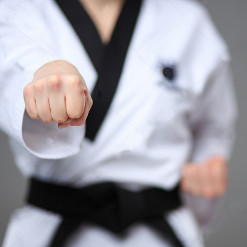 JC TaeKwonDo Club | 8790 204 St #1, Langley City, BC V1M 2Y5, Canada | Phone: (604) 724-5894