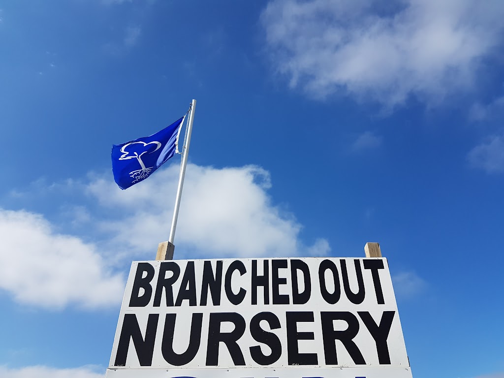 Branched Out Nursery | 41078 Big Hill Springs Rd, Cochrane, AB T4C 1A1, Canada | Phone: (403) 851-1323