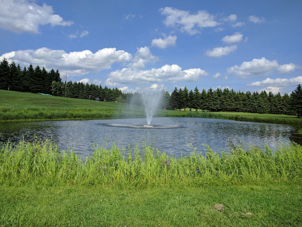 Golf du Moulin Laflamme | 65 Rang des Binet, Saint-Benoît-Labre, QC G0M 1P0, Canada | Phone: (418) 222-6012