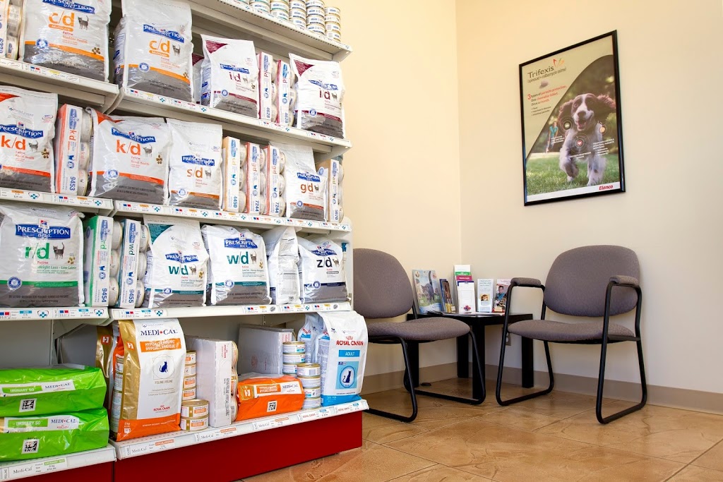 Golf Links Veterinary Hospital | 27 Legend Ct, Ancaster, ON L9K 1J3, Canada | Phone: (905) 304-7387