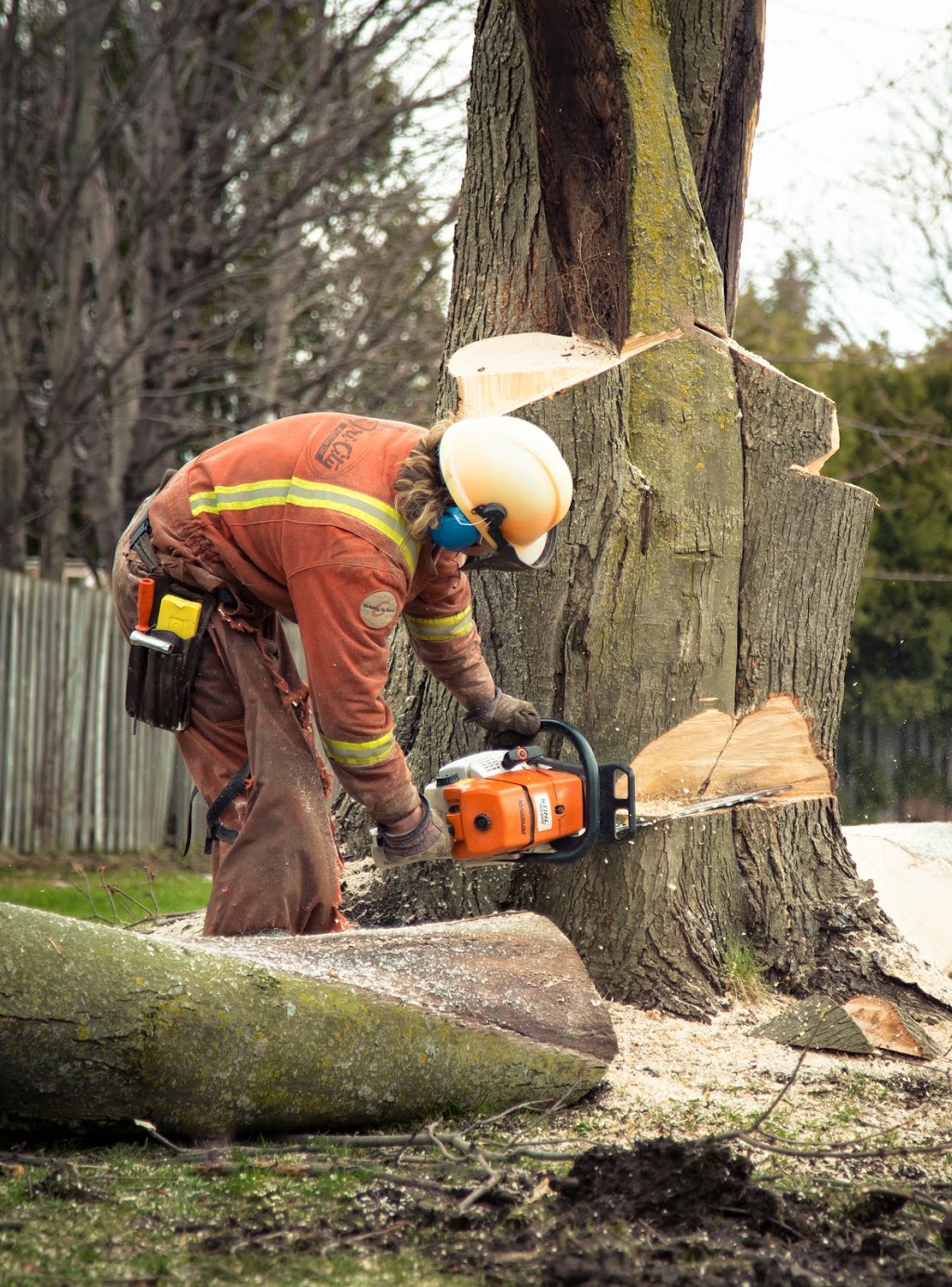 Metzger Tree Service | 196 McIntyre Dr unit 7, Kitchener, ON N2R 1H4, Canada | Phone: (519) 954-5649