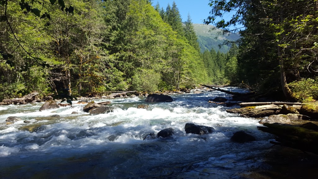 Chilliwack Lake Provincial Park | Trans Canada Trail, Rosedale, BC V0X 1X0, Canada | Phone: (604) 986-9371