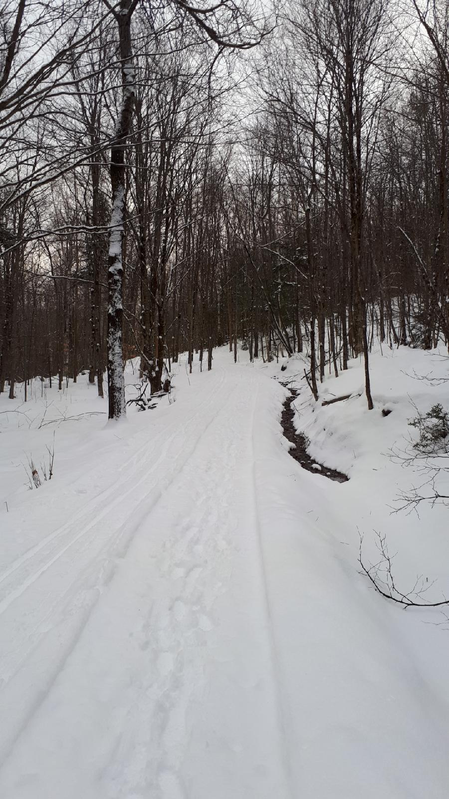 Sentier Massawippi Trail | 85-81 Côte du Piémont, Sainte-Catherine-de-Hatley, QC J0B, Canada