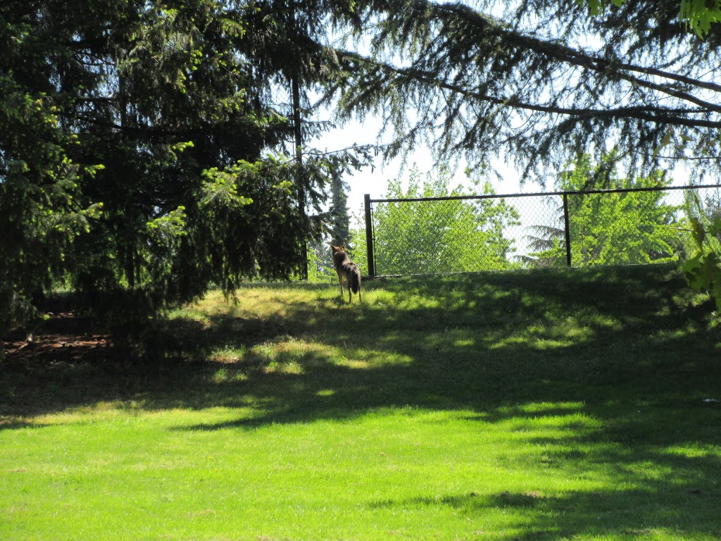 Town Centre Beach Volleyball Courts | Coquitlam, BC V3B 4S1, Canada | Phone: (604) 927-6300