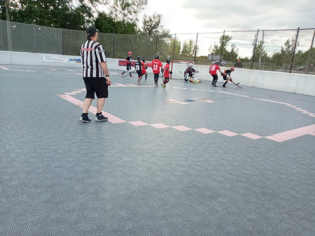 Ballhockey.com St Catharines | 1944 Welland Canals Parkway, St. Catharines, ON L2P 0B2, Canada | Phone: (905) 682-2835