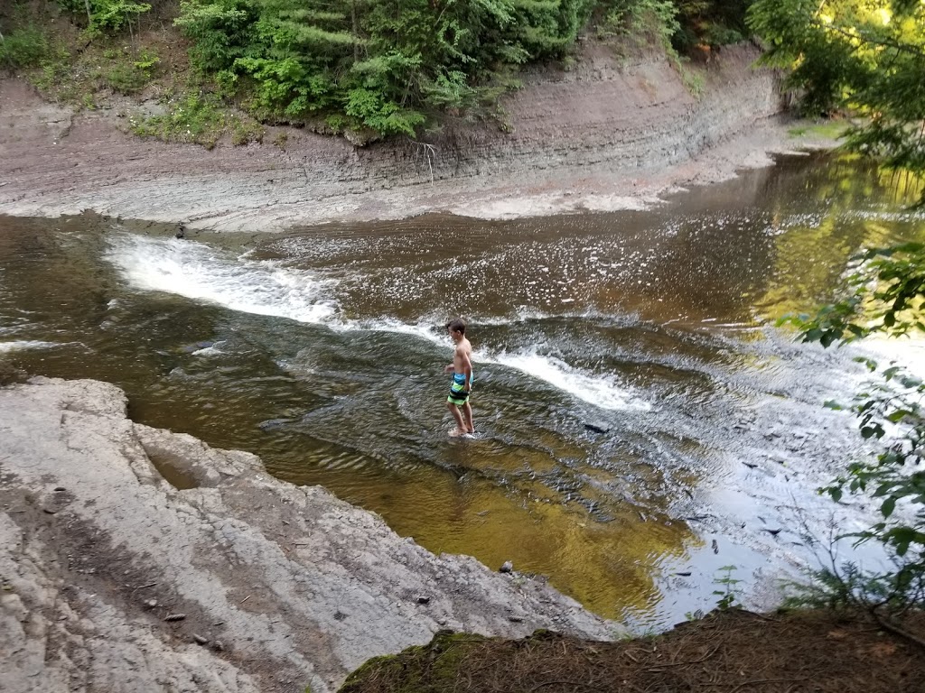 Park of the Gentilly river | 1000 Route des Flamants, Sainte-Marie-de-Blandford, QC G0X 2W0, Canada | Phone: (819) 298-2455