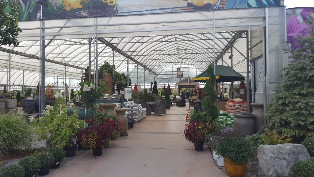 Glasshouse Nursery & Garden Centre | 56 Creek Rd, Chatham-Kent, ON N7M 0L2, Canada | Phone: (519) 352-1127