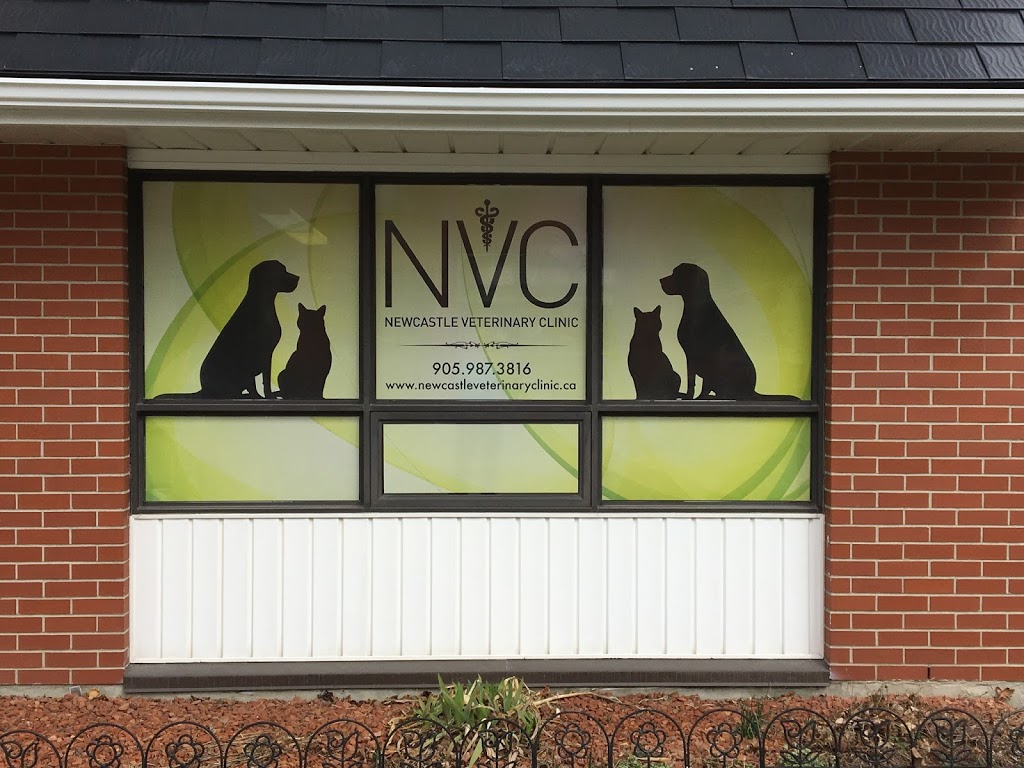 Newcastle Veterinary Clinic | 108 King Ave W, Newcastle, ON L1B 1H7, Canada | Phone: (905) 987-3816