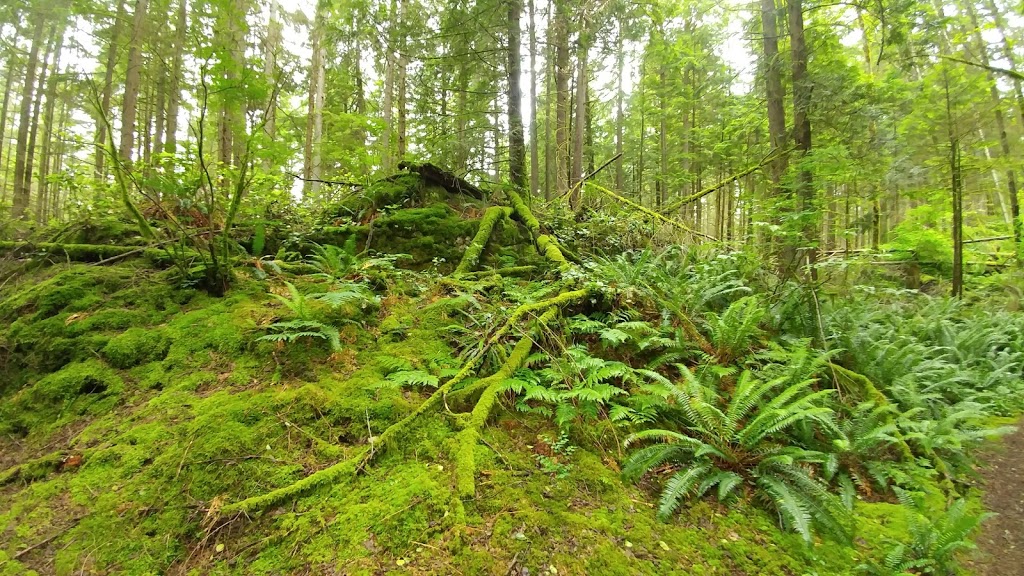 Buntzen Ridge Trail | Port Moody, BC V3H 4S3, Canada