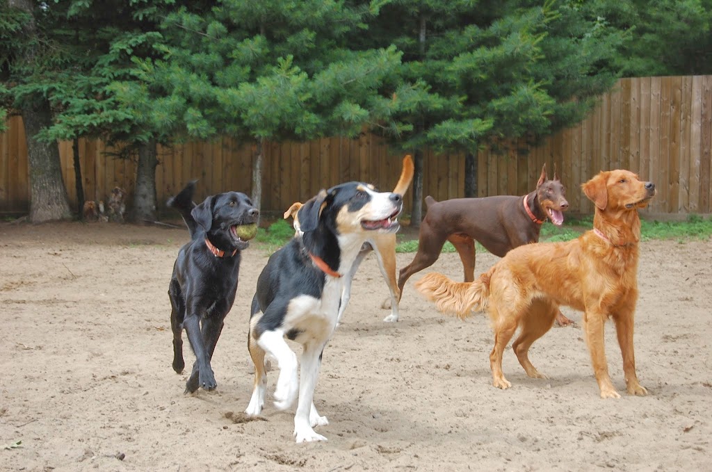 Guides Canins | 1200 Mnt Poirier, Saint-Lazare, QC J7T 0L7, Canada | Phone: (450) 424-1469