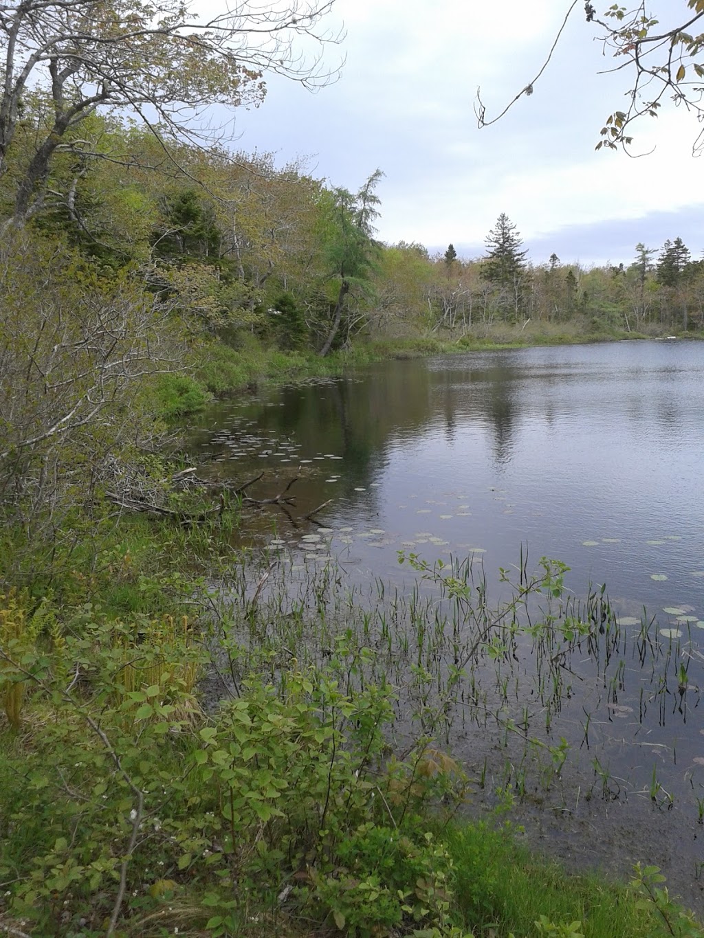 Graves-Oakley Memorial Park | Halifax, NS B3R 1N4, Canada