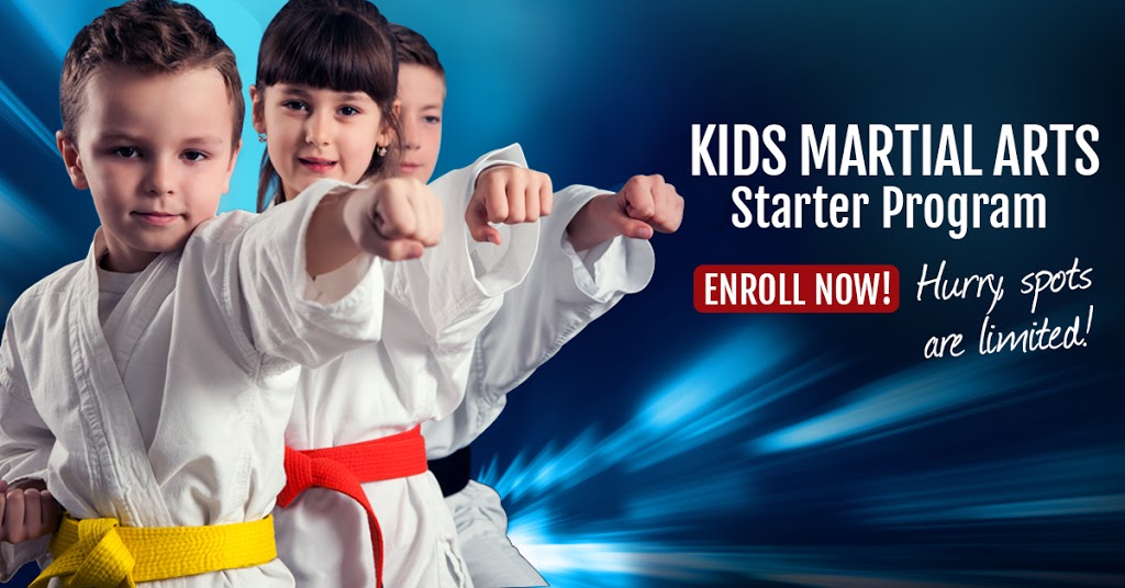 Kees Tae Kwon Do | 1891 Springfield Rd, Kelowna, BC V1Y 5V5, Canada | Phone: (250) 763-5597