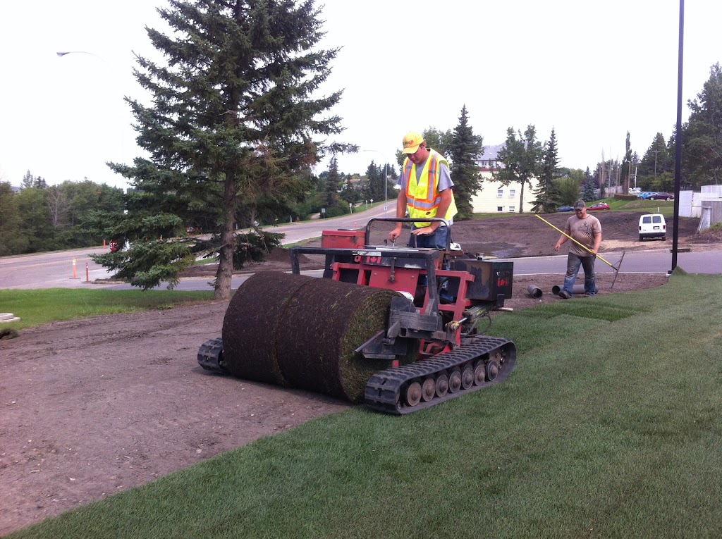 Big Lake Sod Farm | 470088 Range Rd 232, Alberta T9A 1X1, Canada | Phone: (780) 429-1372