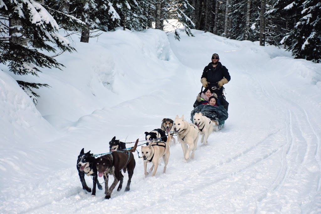 Whistler Glacier Group, Whistler Limousine & Glacier Coach Lines | 8069 Mons Rd, Whistler, BC V8E 1K8, Canada | Phone: (604) 905-7779