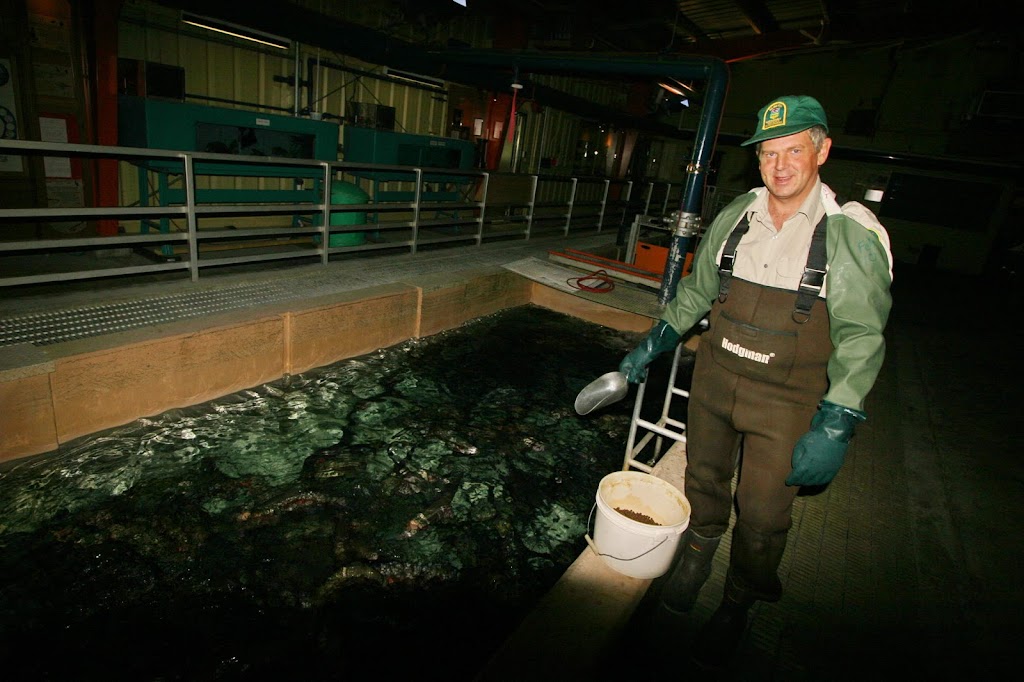 Allison Creek Brood Trout Hatchery Station | Crowsnest Pass, AB T0K 0M0, Canada | Phone: (403) 563-3385