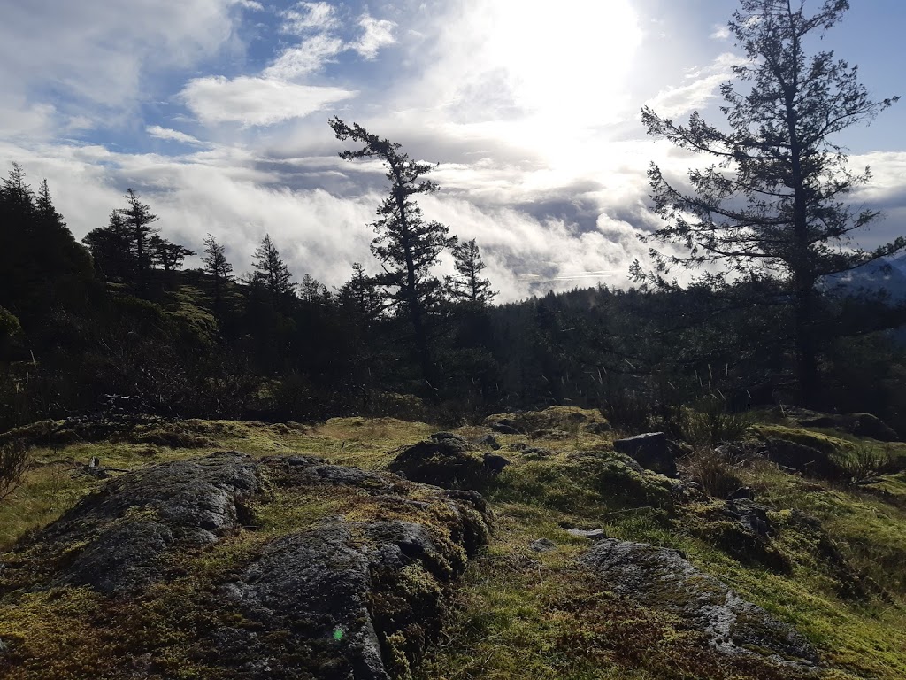 Jocelyn Hill Trailhead | 700 Emma Dixon Rd, Victoria, BC V9B 6J3, Canada