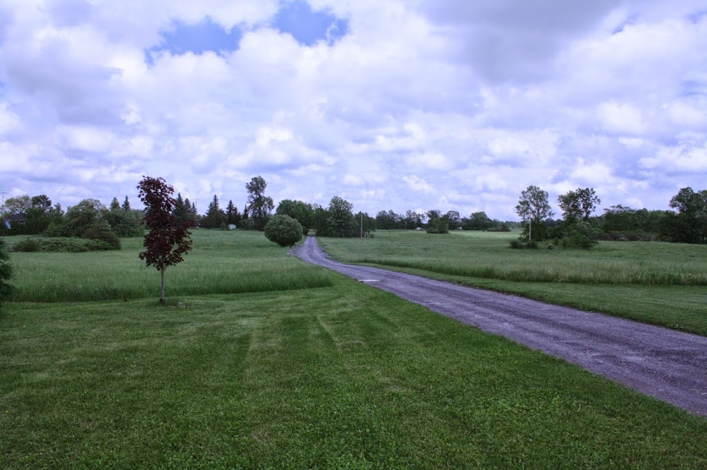 Long Road Ecological Farm | 3757 Road 38, Harrowsmith, ON K0H 1V0, Canada | Phone: (613) 305-0968