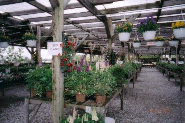 Leslie Gardens Nursery And Greenhouse | 22517 Leslie St, Queensville, ON L0G 1R0, Canada | Phone: (905) 478-8111